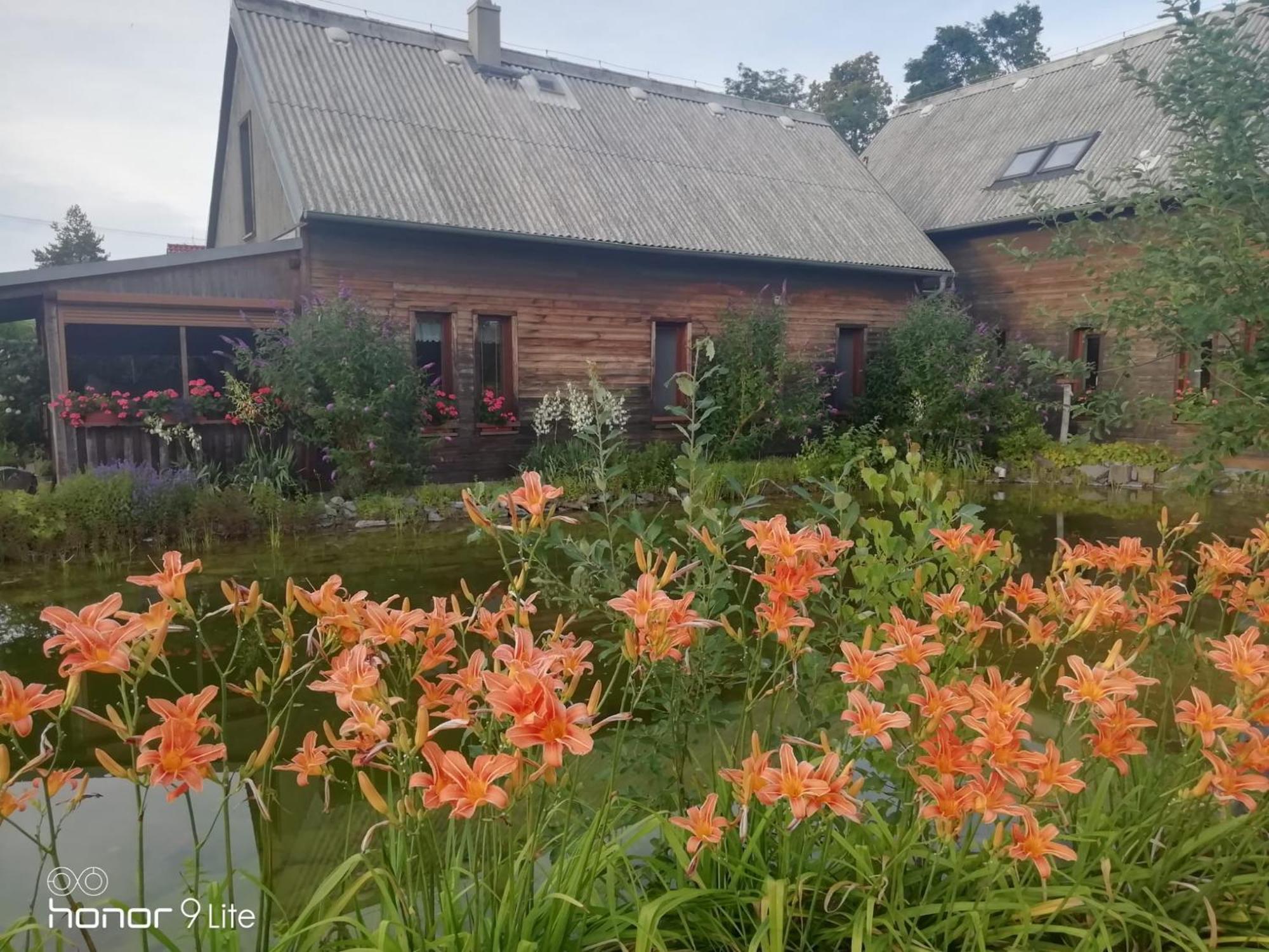 Apartman U Jezirka Kyjovice Exteriér fotografie
